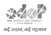 Boho Fest Brand Partner Logo lg21